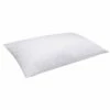 Almohada De Fibra Con Tratamiento Antialérgico 40x135cm Pikolin Home 1 Almohada De Fibra Con Tratamiento Antialérgico 40x135cm Pikolin Home -CONFORAMA Ventas 00df8d7658788947dc5af3a7d37486307ad1f5d6 174ce9e735f348ff878bfe48fb7accc8