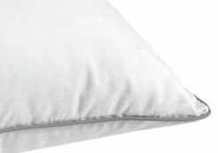 Almohada Viscoelástica Carbono | HÄUSBED | Almohada Para Uso Geriátrico-Hospitalario 90 Cm 6 Almohada Viscoelástica Carbono | HÄUSBED | Almohada Para Uso Geriátrico-Hospitalario 90 Cm -CONFORAMA Ventas 285af30ab01bafdc1c2a570c482c6b21aaa89e01 346def2c6df147ffbb60b9eba55955e2