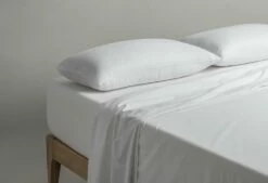 Almohada Ecofiber | HÄUSBED | Sistema Antiacaros Y Antibacterias 80 Cm 11 Almohada Ecofiber | HÄUSBED | Sistema Antiacaros Y Antibacterias 80 Cm -CONFORAMA Ventas 966e2807c0e012774cfb6db2fa4d8785caf66972 d1c93106671643e1bba8297c9e28215f