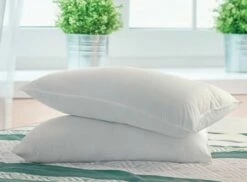 Pack 2 Almohadas SLEEP Anchura 70cm