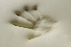 Almohada Cervical Viscoelástica | HÄUSBED | Almohada Ortopédica Para Cama, Funda Lavable. 70 Cm 10 Almohada Cervical Viscoelástica | HÄUSBED | Almohada Ortopédica Para Cama, Funda Lavable. 70 Cm -CONFORAMA Ventas 99390956c68f6aff570b68118a6d7fdf6c19ce2d ade10a7b4b1f40b5b3a3c9ab4a2e6b4a