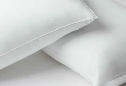 Almohada Ecofiber | HÄUSBED | Sistema Antiacaros Y Antibacterias 80 Cm 12 Almohada Ecofiber | HÄUSBED | Sistema Antiacaros Y Antibacterias 80 Cm -CONFORAMA Ventas c09b67301aed152a7b8ef840b836b88cb8b05cea 56363471a5f04b748402aadad0830a0a