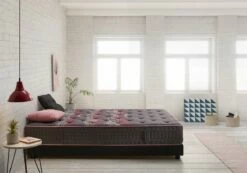 Colchón Viscoelástico Spa Sense 67,5X180 Altura 26cm +/-2 MATRIS 7 Colchón Viscoelástico Spa Sense 67,5X180 Altura 26cm +/-2 MATRIS -CONFORAMA Ventas c1d522f98939e3ab17a6cbf2af7a31b123c3a87a 94ab3c1972fc46efaf828e38698caef8