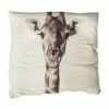 Cojín JIRAFA